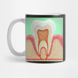 Medical illustration Tooth Anatomy Mug
